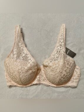 36C Aerie Lace Underwire Bra in Light Blush